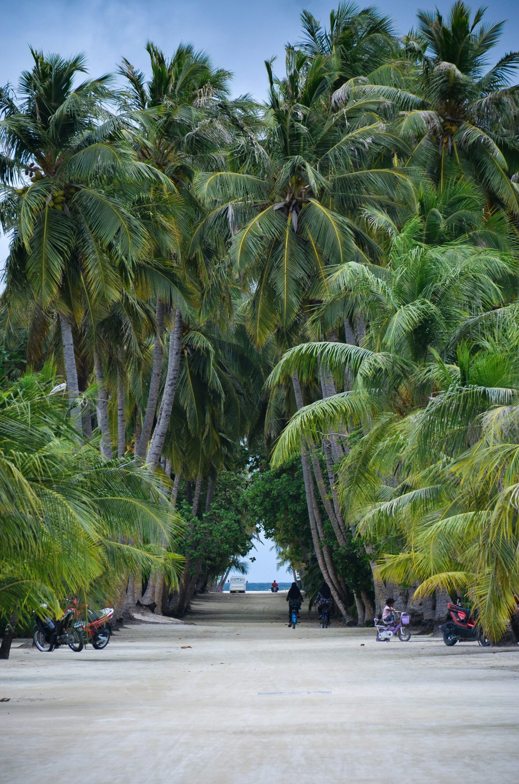 Local Maldives