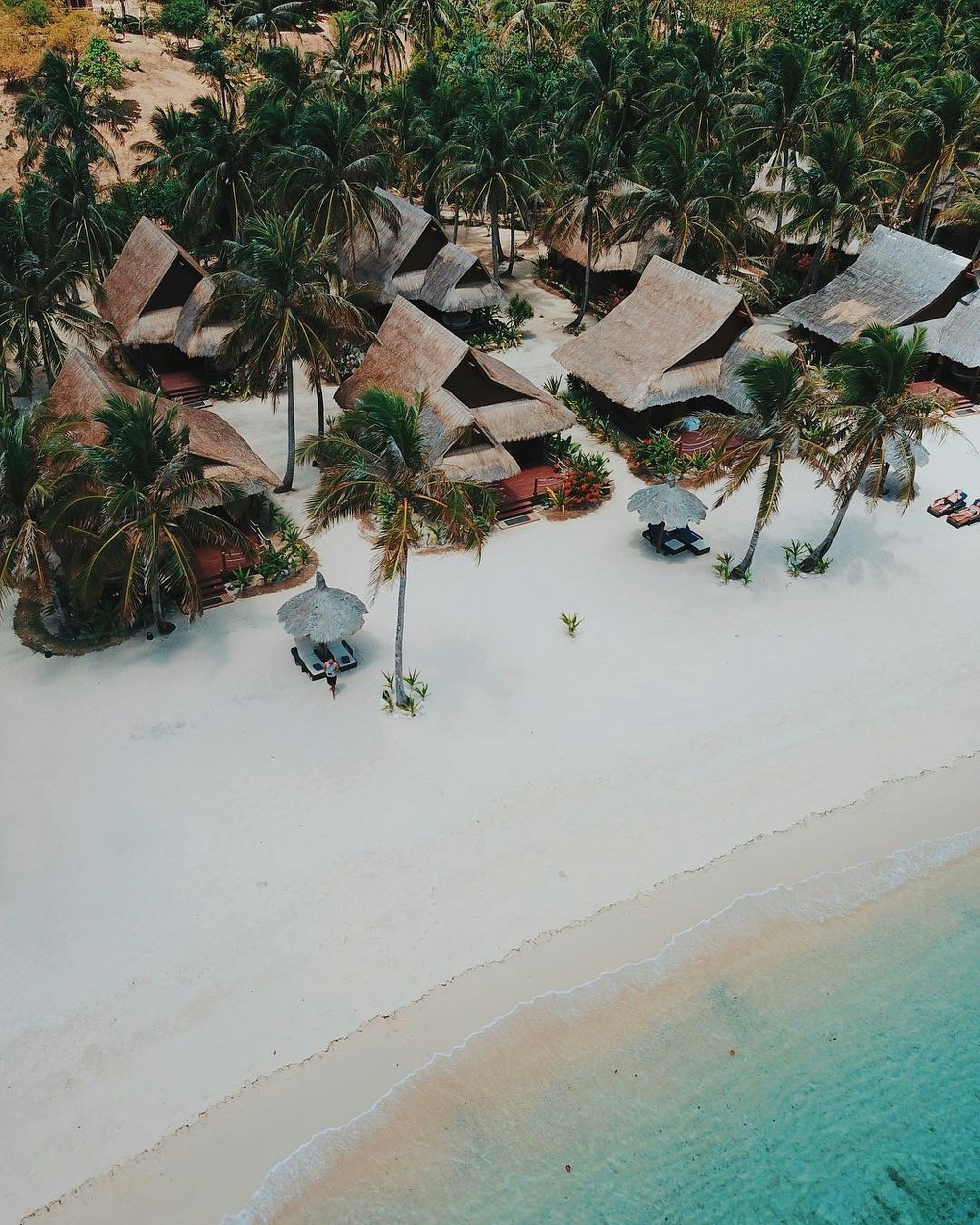 Luxury eco-resort nestled on the beach