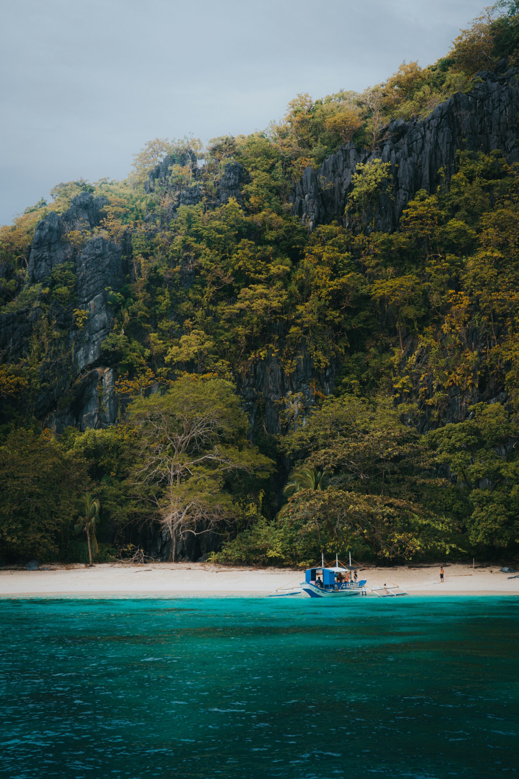 Tropical landscape and jagged limestone cliffs